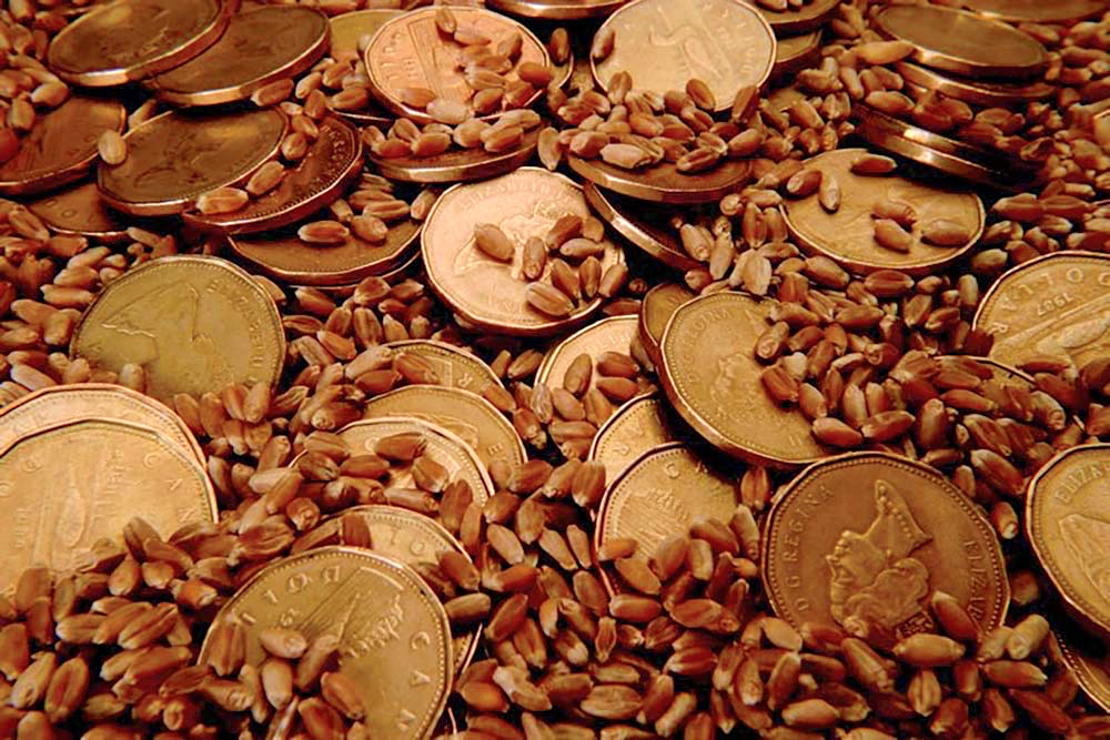Farm receipts higher despite drought