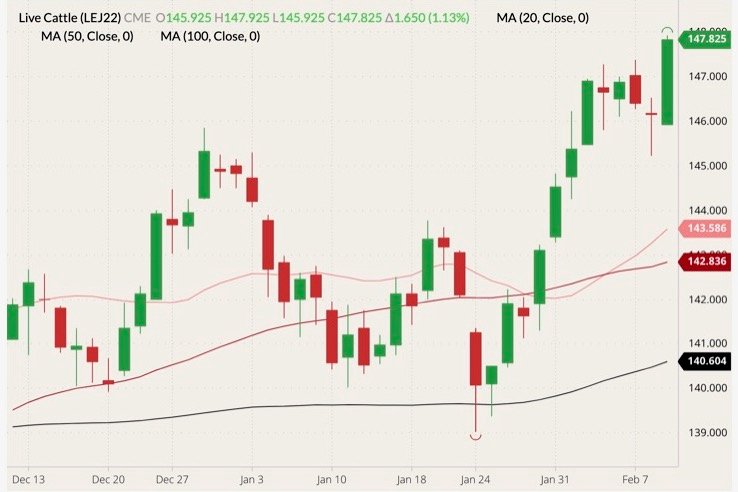 CME April 2022 live cattle (candlesticks) with 20-, 50- and 100-day moving averages (pink, dark red and black lines). (Barchart)
