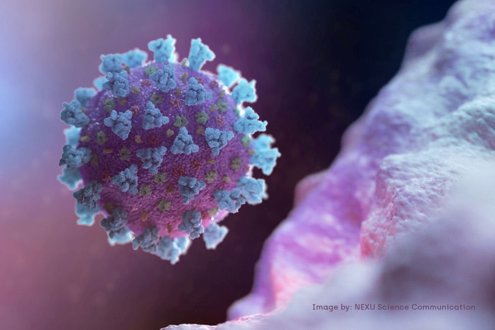 An image created by Nexu Science Communication, together with Trinity College in Dublin, shows a model structurally representative of a betacoronavirus, the type of virus linked to COVID-19. (Nexu Science Communication via Reuters)

