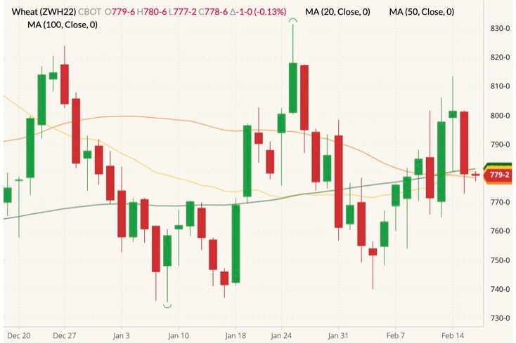 CBOT March 2022 wheat (candlesticks) with 20-, 50- and 100-day moving averages (yellow, orange and dark green lines). (Barchart)
