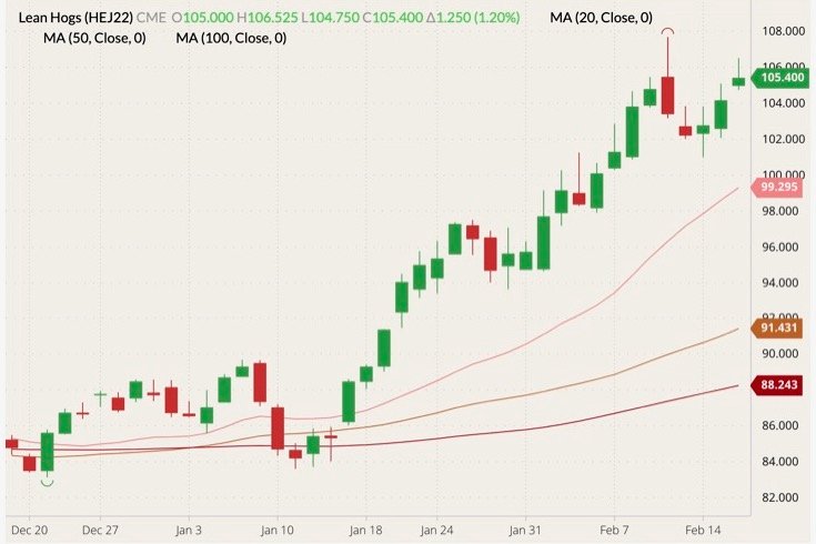 CME April 2022 lean hogs (candlesticks) with 20-, 50- and 100-day moving averages (pink, brown and dark red lines). (Barchart)
