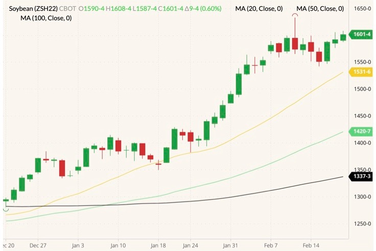 CBOT March 2022 soybeans (candlesticks) with 20-, 50- and 100-day moving averages (yellow, light green and black lines). (Barchart)
