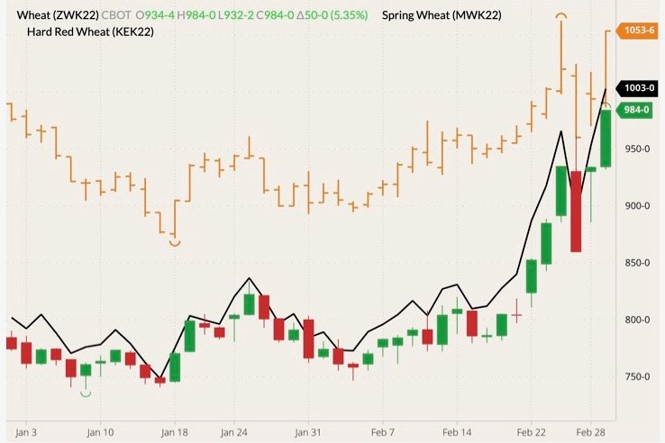 CBOT May 2022 wheat (candlesticks) with MGEX May 2022 wheat (orange O/H/L/C) and K.C. May 2022 wheat (black line). (Barchart)
