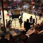 Use some higher math to avoid the bull