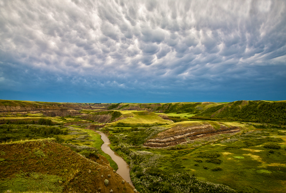 The Rosebud River Valley is home to native grasses, wildlife, birds — and some female farm leaders who have worked hard to conserve it.
