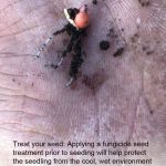 PHOTOS: Redefining the growing season