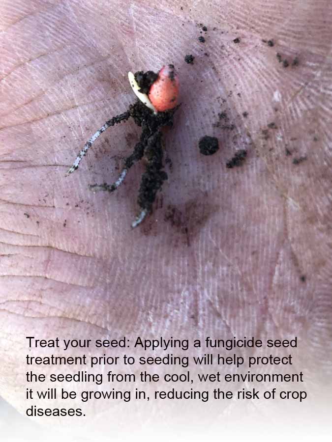 PHOTOS: Redefining the growing season