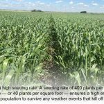 PHOTOS: Redefining the growing season