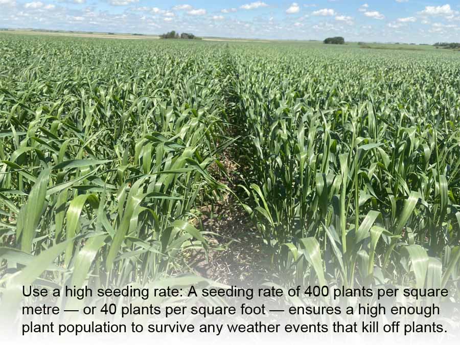 PHOTOS: Redefining the growing season