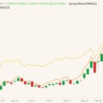 CBOT May 2022 wheat (candlesticks) with MGEX May 2022 spring wheat (yellow line) and K.C. May 2022 wheat (orange line). (Barchart)