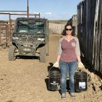 Pail feeding heifers gets them used to people but running them through chutes prior to breeding makes them even more calm, says Karyn Neilson.