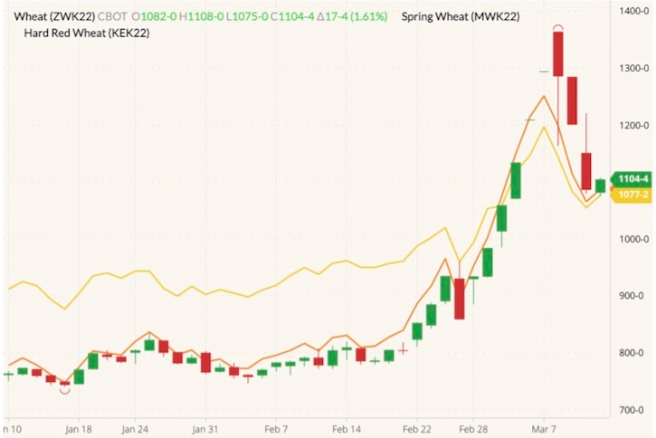 CBOT May 2022 wheat (candlesticks) with MGEX May 2022 wheat (yellow line) and K.C. May 2022 wheat (orange line). (Barchart)
