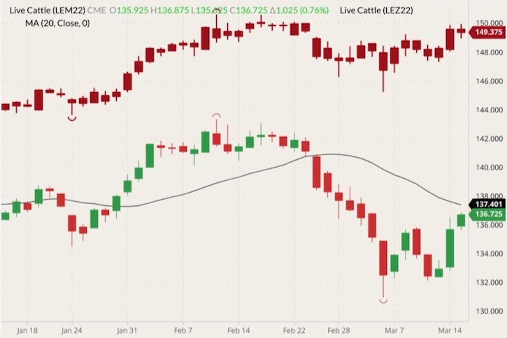 CME June 2022 live cattle (green and red candlesticks) with 20-day moving average (black line) and December 2022 live cattle (dark red candlesticks). (Barchart)
