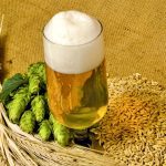 Malt barley academy kicks off next week