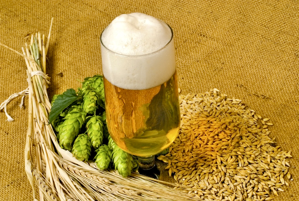 Malt barley academy kicks off next week