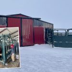When the weather outside is frightful, inside it’s delightfully dry and sheltered. Half of the new calving barn at Crooked Lake Farm is an open concept area with a squeeze chute (pictured are Brynn Burkhardt and her heifer Jewel) with four calving pens in the other half.