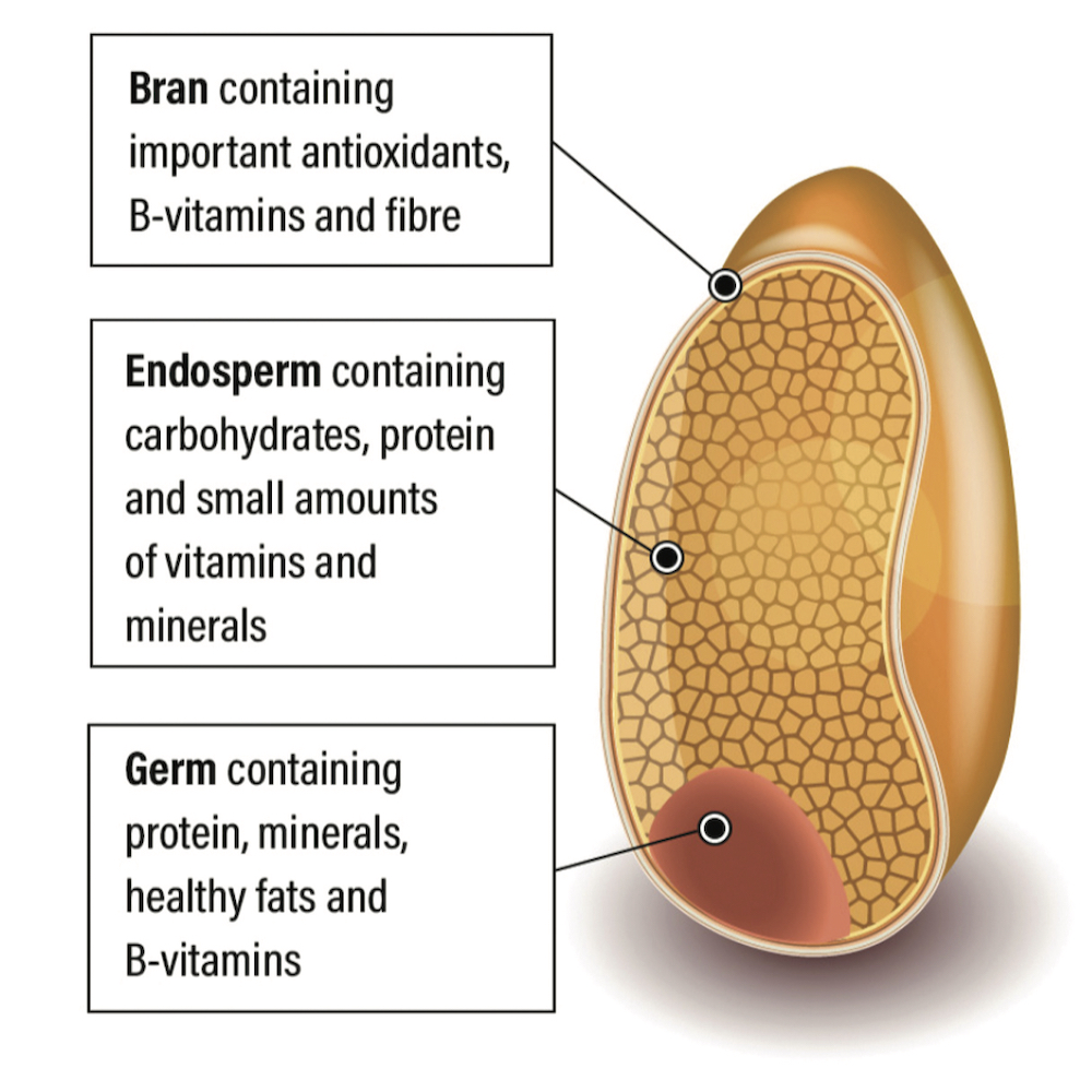 The Wheat 101 section of Cereals Canada’s new website on wheat lists the components of wheat and the nutritional elements of each, with links to independent science sites that back up those claims.