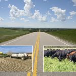 Many producers are already using rotational grazing and 4R practices, but now Ottawa is sweetening the pot for Alberta producers with $33 million worth of incentives.