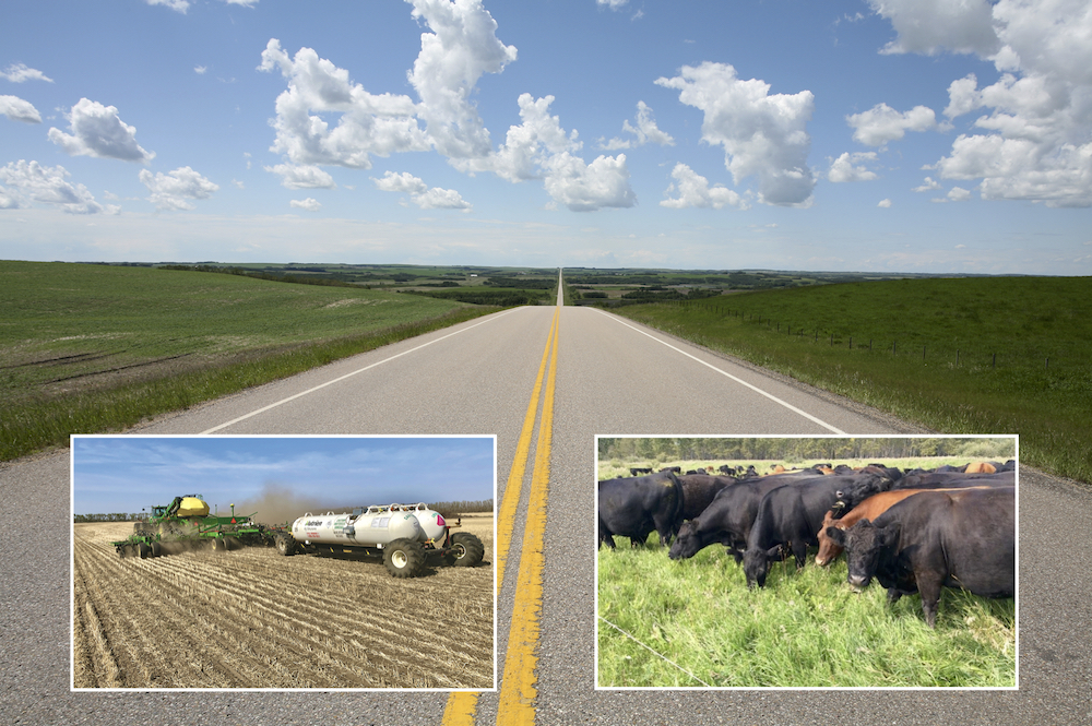 Many producers are already using rotational grazing and 4R practices, but now Ottawa is sweetening the pot for Alberta producers with $33 million worth of incentives.