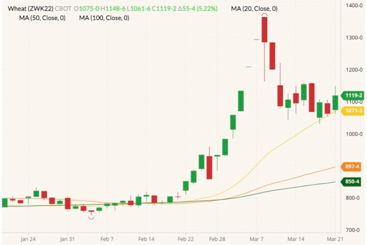 CBOT May 2022 wheat (candlesticks) with 20-, 50- and 100-day moving averages (yellow, orange and dark green lines). (Barchart)
