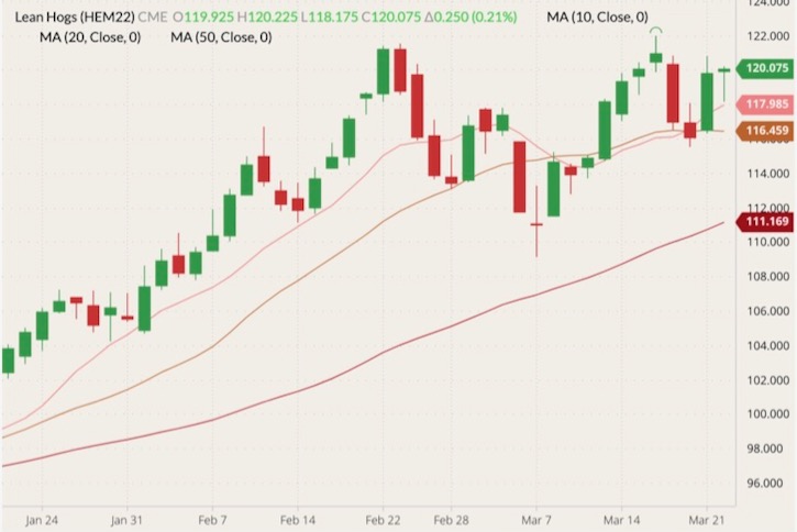 CME June 2022 lean hogs (candlesticks) with 10-, 20- and 50-day moving averages (pink, brown and dark red lines). (Barchart)

