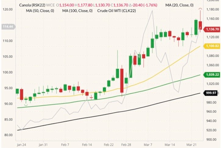 ICE May 2022 canola (candlesticks, right column) with 20-, 50- and 100-day moving averages (yellow, green and black lines) and NYMEX May 2022 WTI crude oil (grey line, left column). (Barchart)
