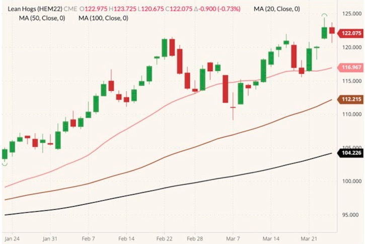 CME June 2022 lean hogs (candlesticks) with 20-, 50- and 100-day moving averages (pink, brown and black lines). (Barchart)
