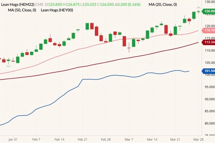 CME June 2022 lean hogs (candlesticks) with 20- and 50-day moving averages (pink and dark red lines) and CME’s cash lean hog index (blue line). (Barchart)
