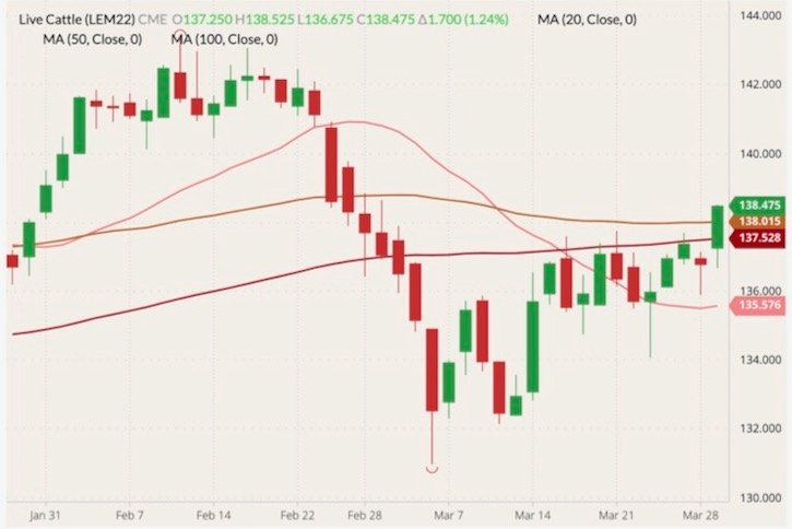 CME June 2022 live cattle (candlesticks) with 20-, 50- and 100-day moving averages (pink, brown and dark red lines). (Barchart)
