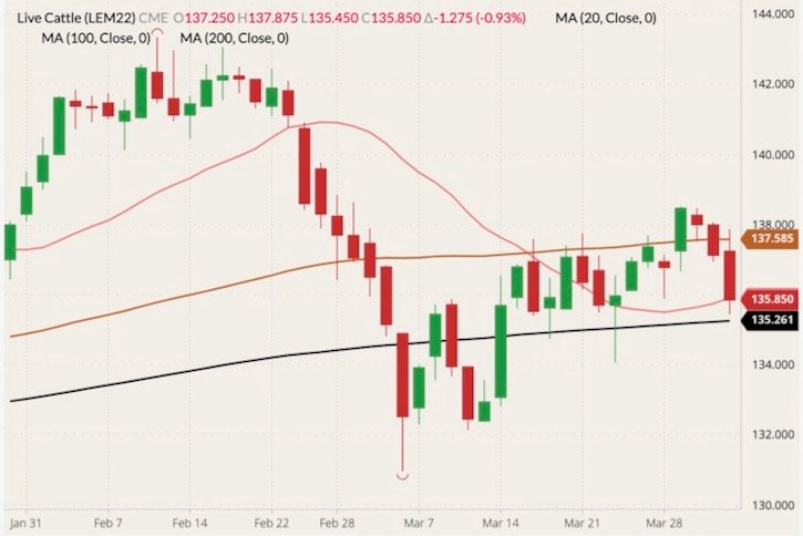 CME June 2022 live cattle (candlesticks) with 20-, 100- and 200-day moving averages (pink, brown and black lines). (Barchart)
