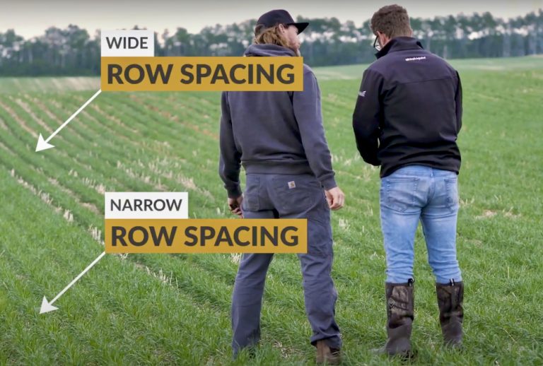 Cereal commissions offer new, and different, seeding rate calculator