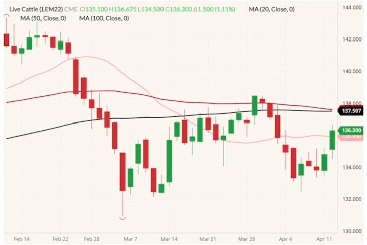 CME June 2022 live cattle (candlesticks) with 20-, 50- and 100-day moving averages (pink, dark red and black lines). (Barchart)

