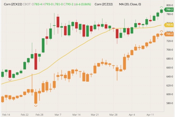 CBOT May 2022 corn (green and red candlesticks) with 20-day moving average (yellow line) and December 2022 corn (orange candlesticks). (Barchart)
