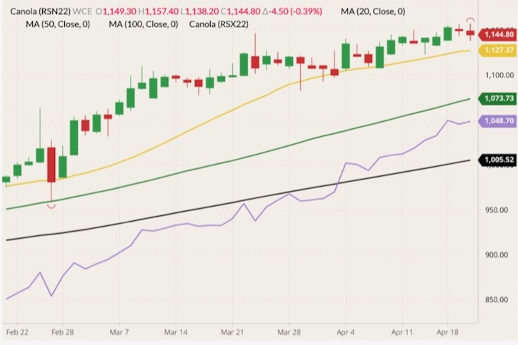 ICE July 2022 canola (candlesticks) with 20-, 50- and 100-day moving averages (yellow, dark green and black lines) and November 2022 canola (purple line). (Barchart)
