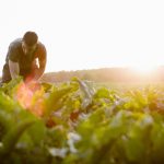 Four farm groups join Team Alberta