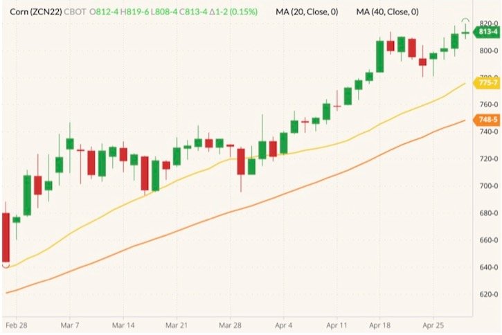 CBOT July 2022 corn (candlesticks) with 20- and 40-day moving averages (yellow and orange lines). (Barchart)
