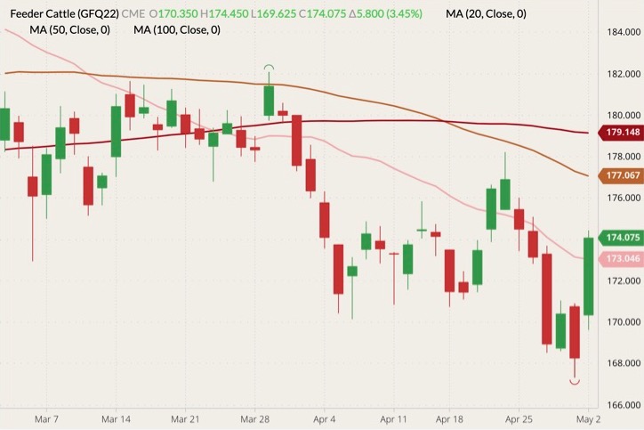 CME August 2022 feeder cattle (candlesticks) with 20-, 50- and 100-day moving averages (pink, brown and dark red lines). (Barchart)
