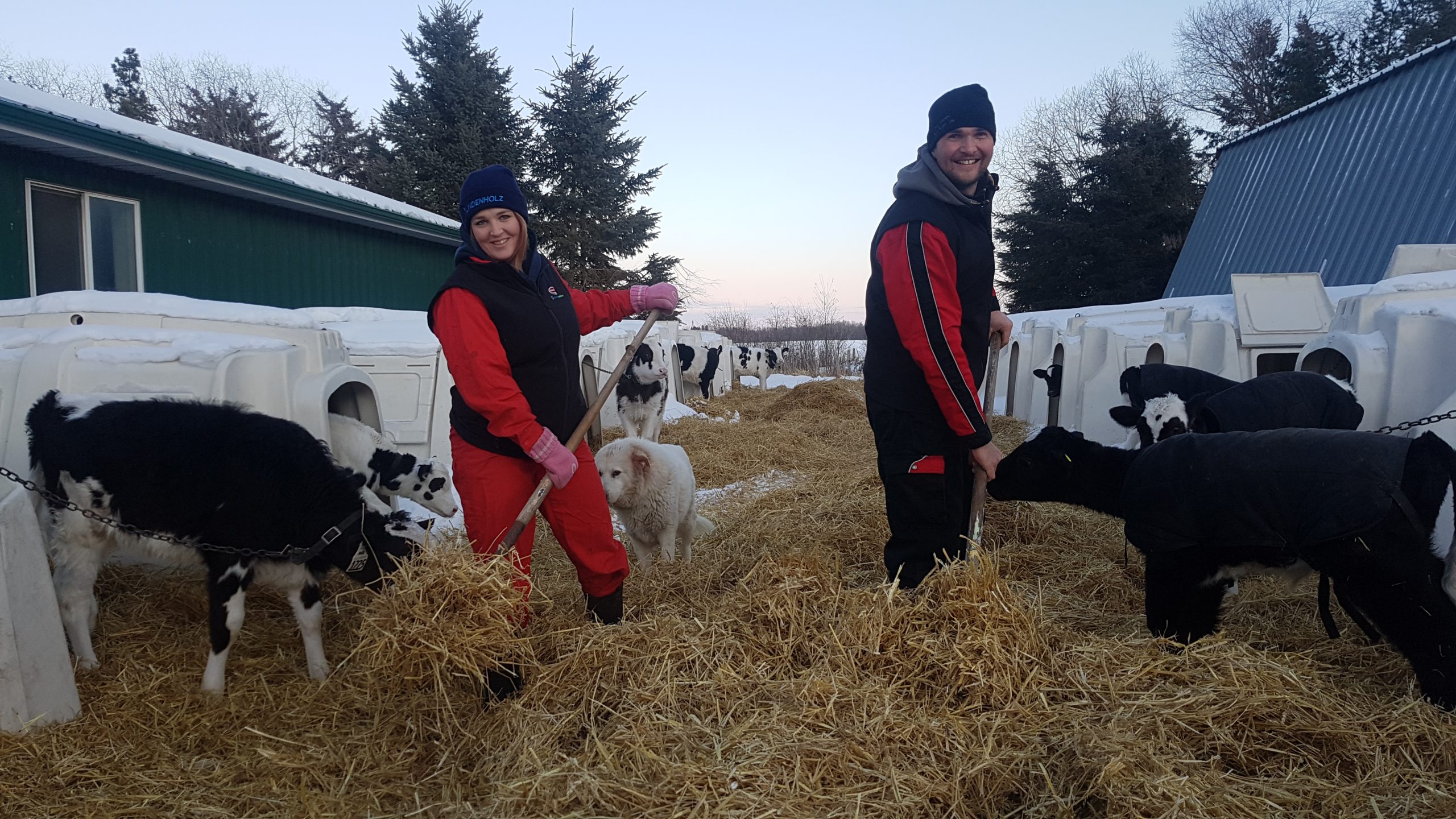 Roelof and Mary van Benthem working