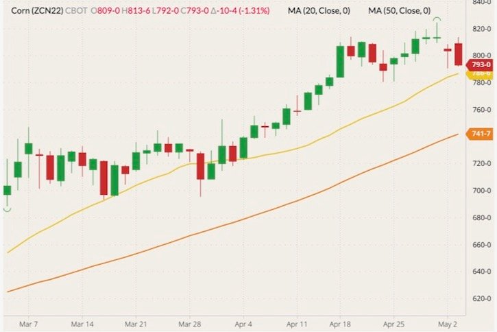CBOT July 2022 corn (candlesticks) with 20- and 50-day moving averages (yellow and orange lines). (Barchart)
