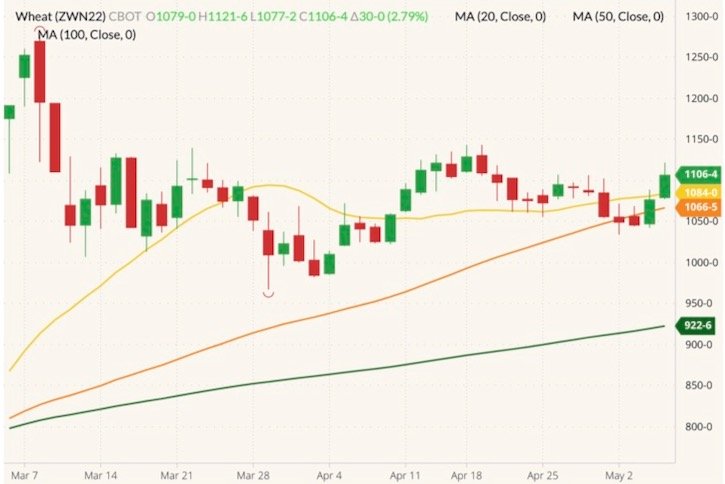 CBOT July 2022 wheat (candlesticks) with 20-, 50- and 100-day moving averages (yellow, orange and dark green lines). (Barchart)
