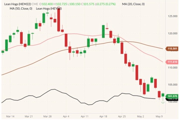 CME June 2022 lean hogs (candlesticks) with 20- and 50-day moving averages (pink and brown lines) and CME lean hog index (black line). (Barchart)
