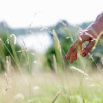 Are you seeing a decline in grasslands?