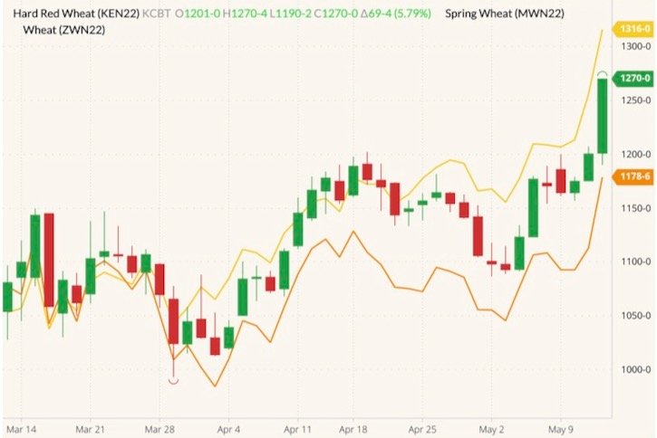 K.C. July 2022 hard red wheat (candlesticks) with MGEX July 2022 spring wheat (yellow line) and CBOT July 2022 wheat (orange line). (Barchart)
