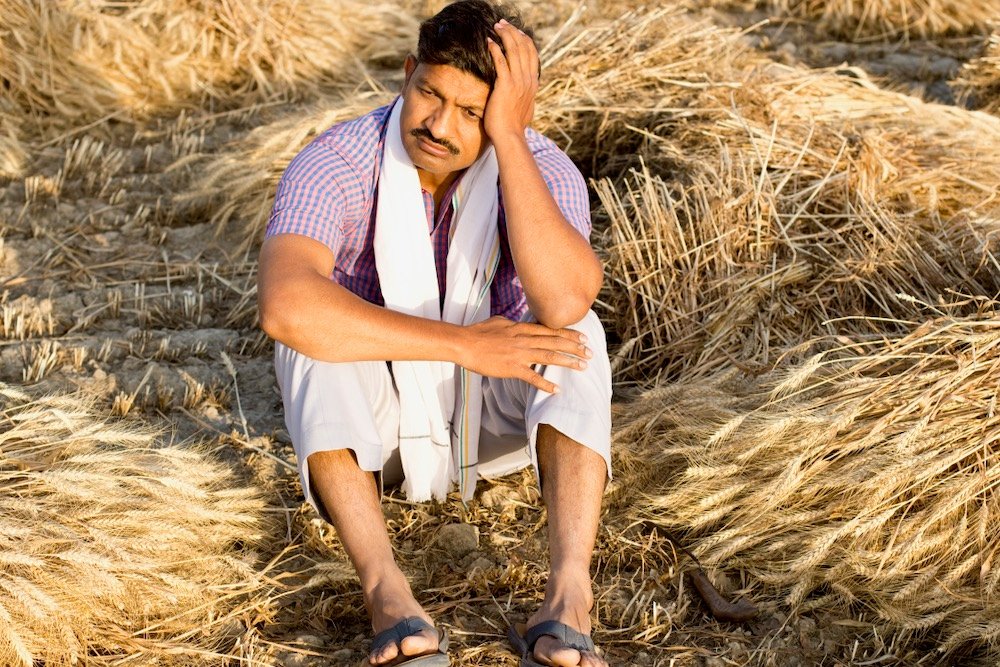 Stock photo of a grain grower in India. (Triloks/iStock/Getty Images)
