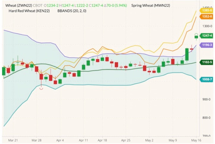 CBOT July 2022 wheat (candlesticks) with Bollinger bands (20,2), MGEX July 2022 spring wheat (yellow line) and K.C. July 2022 hard red wheat (orange line). (Barchart)

