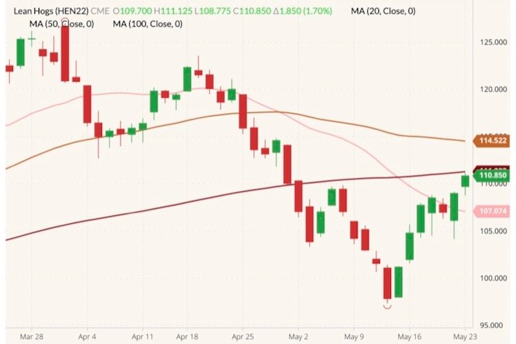 CME July 2022 lean hogs (candlesticks) with 20-, 50- and 100-day moving averages (pink, brown and dark red lines). (Barchart)
