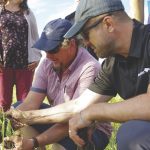 Producers at a 2019 field tour take a look into the soil under cover crops.