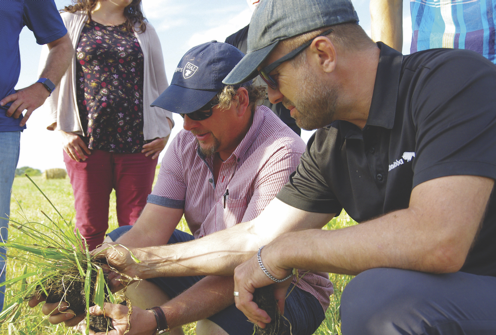Producers at a 2019 field tour take a look into the soil under cover crops.