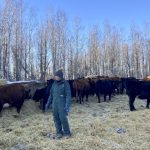 Continuing drought will force some producers out of business and government aid can’t prevent that if feed just isn’t available, says Melanie Wowk, chair of Alberta Beef Producers.