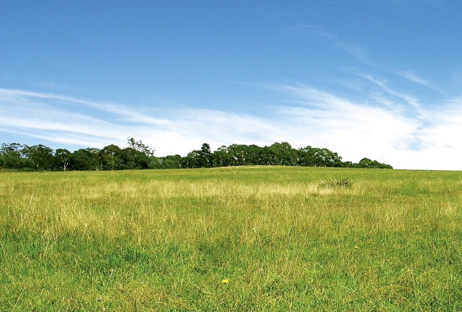 The “novel and very innovative approach” employed by farmers in ALUS projects was the key to getting a $5-million grant that will expand the reach of the organization, says Bryan Gilvesy, an Ontario rancher and CEO of the non-profit.